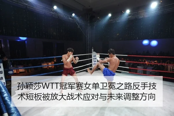 sun-ying-sha-guan-jun-sai-nv-dan-wei-mian-zhi-lu-fan-shou-ji-shu-duan-ban-bei-fang-da-zhan-shu-ying-dui-yu-wei-lai-tiao-2-347.jpg