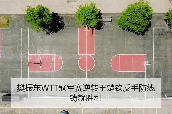 樊振东WTT冠军赛逆转王楚钦反手防线铸就胜利